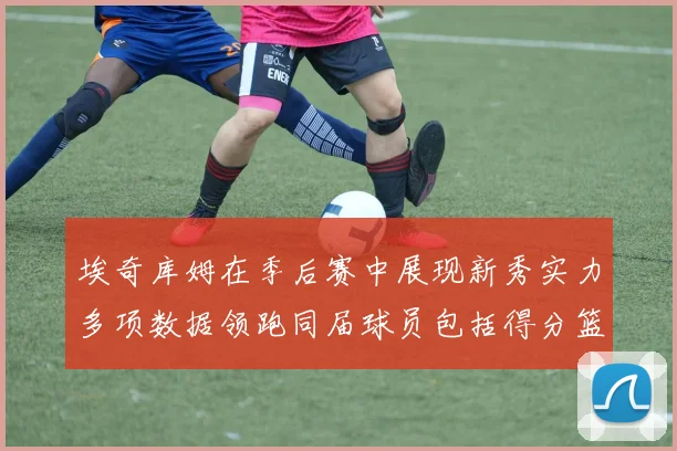 埃奇库姆在季后赛中展现新秀实力多项数据领跑同届球员包括得分篮板助攻抢断三分