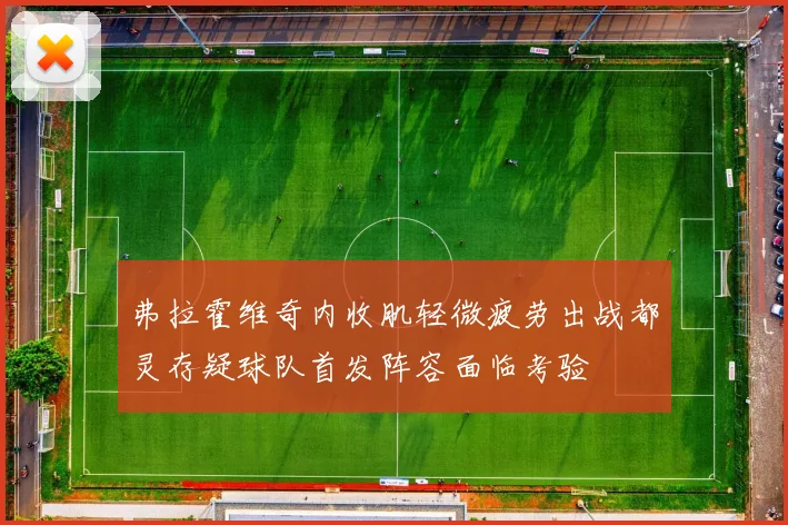 弗拉霍维奇内收肌轻微疲劳出战都灵存疑球队首发阵容面临考验